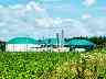 Versicherung Bioenergie: Die Gothaer bietet Ihnen Rundum-Schutz für Ihre Bioenergieanlage, aber auch für Biomassekraftwerke.